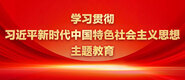 黄色视频插骚逼学习贯彻习近平新时代中国特色社会主义思想主题教育_fororder_ad-371X160(2)